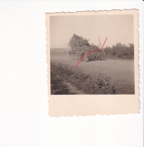 Ww2 foto elitesoldaten - foto,