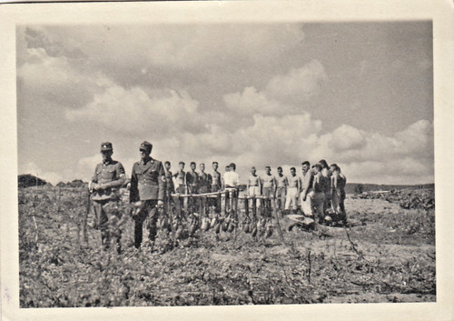 Privat foto ww2 wehrmacht - foto,