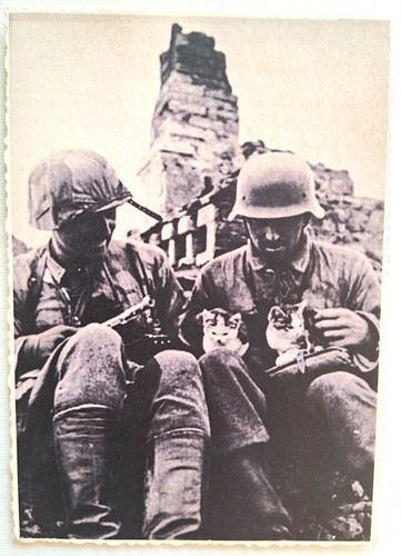 Original ww2 photograph - ww2, –