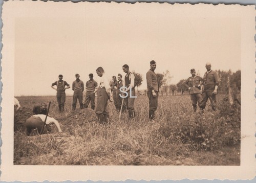 Foto ww2 batterie beck - foto,, dr.
