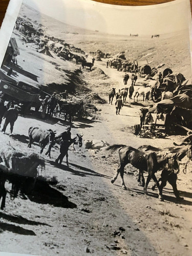 Foto stalingrad schlacht - foto,