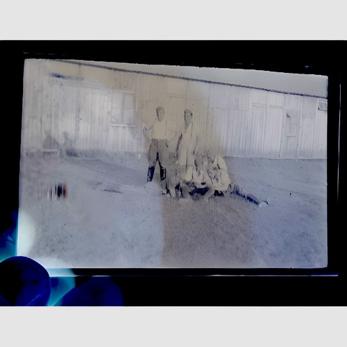 Foto negativ 6x9 historisch - negativ,