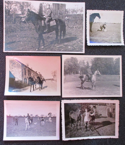 Erbe chance sammlung - sammlung, lot